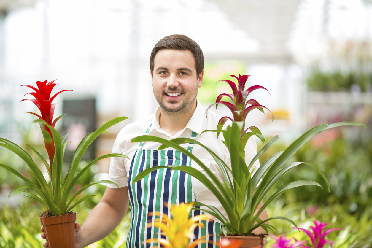 Cheerful male florist holding potted flower in garden center. Looking at camera and smiling.