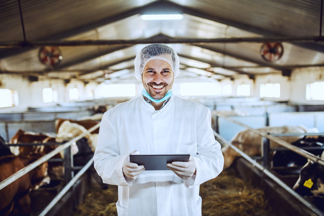 Smiling Caucasian veterinarian in protective uniform standing in stable and holding tablet while looking at camera. In background are calves.